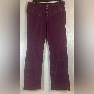 Free People Hit Back Slim Flare Fig Purple Low Rise Velvet Cotton Pants Size 4